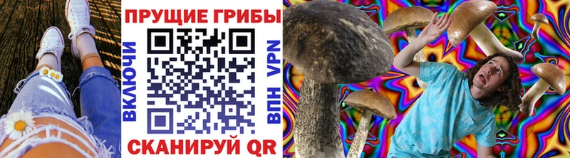 ссылка на мегу зеркало  наркотики  Туапсе  Галлюциногенные грибы прущие грибы 